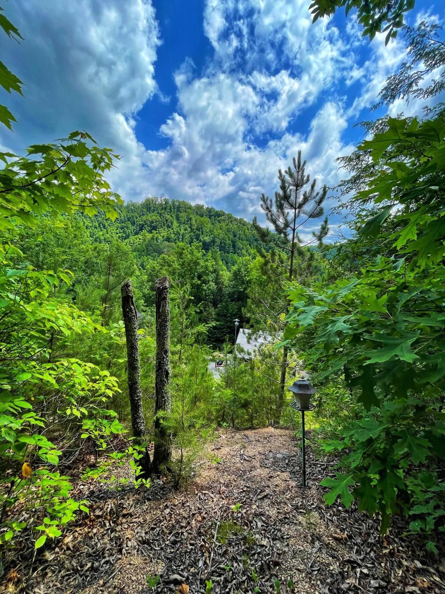 Tiny House, Wifi,Hot Tub,Secluded Villa Cosby ภายนอก รูปภาพ